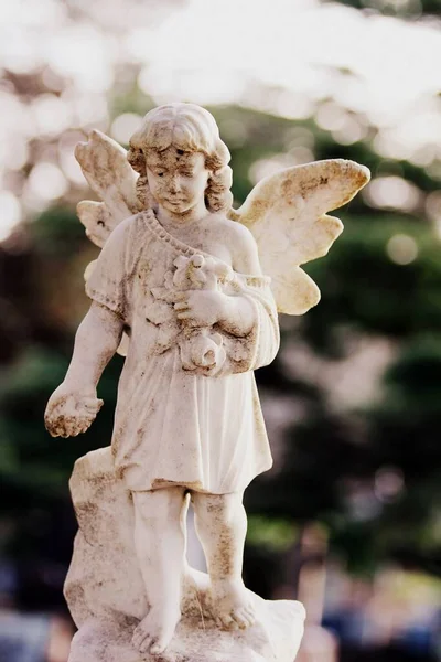 Primer plano de una hermosa estatua de ángel blanco en el parque de Purewa con un fondo borroso — Foto de Stock