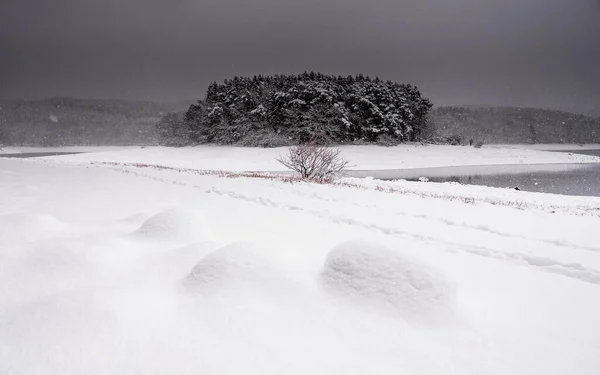 Zasněžené pobřeží u zamrzlé vody se stromy v dálce v černé a bílé — Stock fotografie