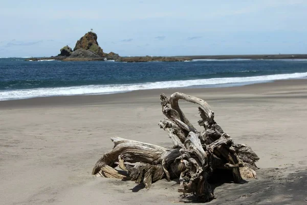 Fotografía horizontal de un bosque a la deriva en una playa en la costa oeste de Nueva Zelanda — Foto de Stock