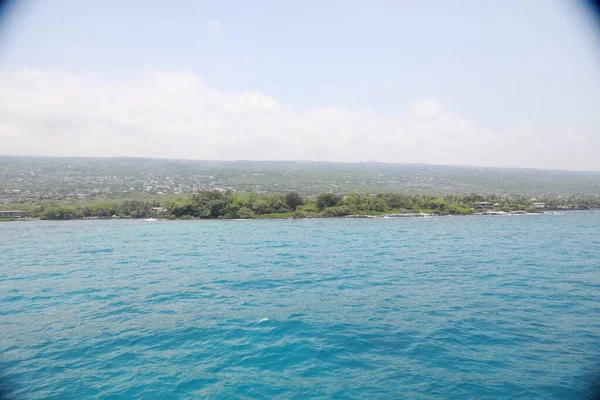 Amplio plano del mar rodeado de verdes árboles y plantas bajo un cielo azul — Foto de Stock