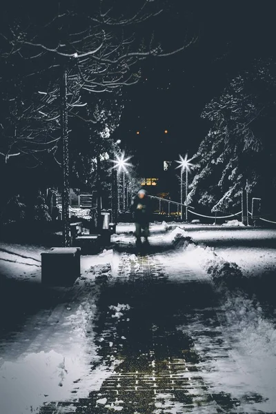 Человек, идущий по тропе, окруженный деревьями и уличным освещением, покрытым снегом — стоковое фото