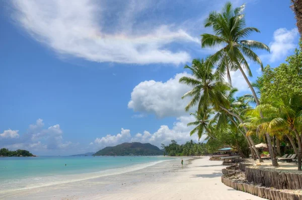 Horizontale Aufnahme eines ruhigen Strandes mit Palmen und Hütten am Tag — Stockfoto