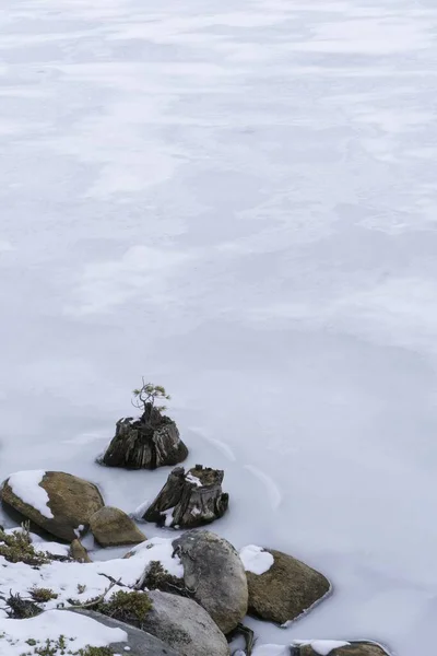 Tiro vertical de rochas nevadas na água congelada — Fotografia de Stock