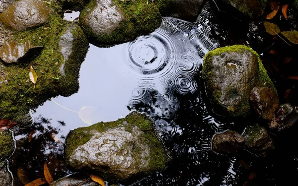 Overhead close-up tiro de ondulações de água em uma poça cercada com molhado, pedras musgosas — Fotografia de Stock