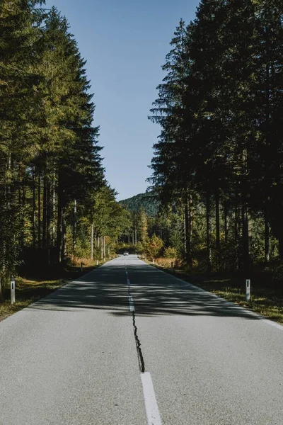 Tiro vertical de un estrecho camino vacío con sombras de árboles de ambos lados —  Fotos de Stock