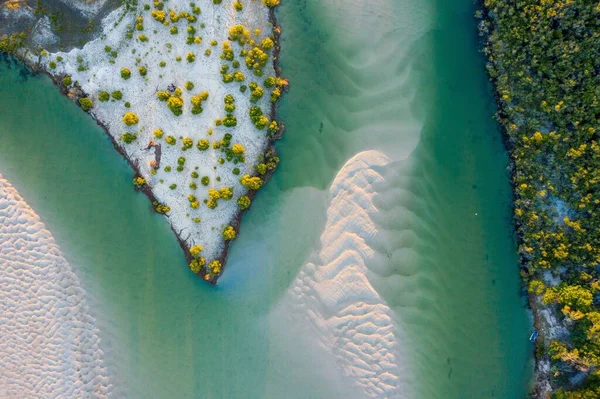 空中拍摄的美丽的大海和半岛上美丽的绿树和白沙 — 图库照片