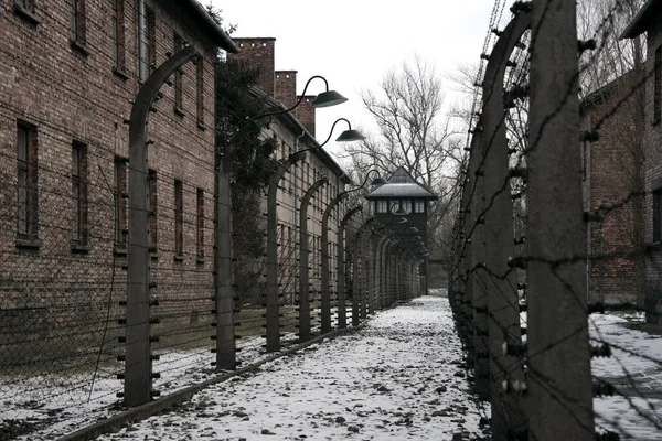 Auschwitz. —  Fotos de Stock