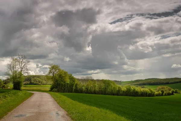 Belo tiro de um caminho no meio de campos gramados com árvores abaixo de um céu nublado — Fotografia de Stock