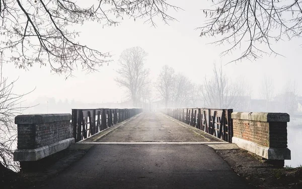 Horizontal creepy shot of a bridge leading to a foggy forest with houses