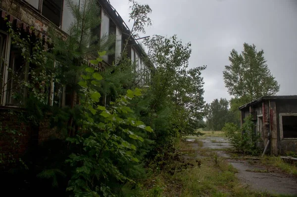 Horizontale opname van een eng verlaten gebouw bedekt met groen tijdens bewolking — Stockfoto