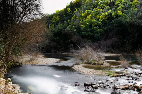 Красивый снимок реки, текущей посреди берегов, покрытых деревьями — стоковое фото