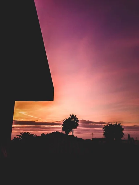 Vertical silhouette shot of beautiful palm trees under the breathtaking colorful sky — Stock Photo, Image