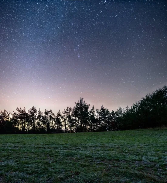 Colpo orizzontale di un campo verde con alberi verdi sotto il bellissimo cielo stellato notturno — Foto Stock