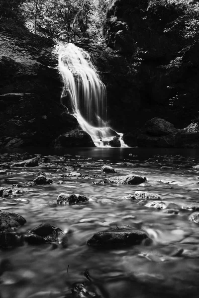 Tiro vertical de una cascada rodeada de árboles en un bosque en blanco y negro — Foto de Stock