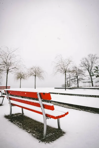 Tirada vertical de copos de nieve cayendo sobre ramas de árboles desnudos y bancos haciendo todo blanco — Foto de Stock