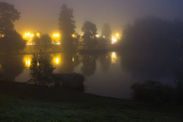 Horisontell bild av en sjö täckt med dimma med träd och gatubelysning på kvällen — Stockfoto