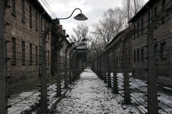 Auschwitz. —  Fotos de Stock