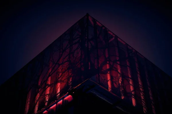 Vue en angle bas d'un bâtiment moderne abstrait avec des dessins d'arbres et illuminé de lumière rouge — Photo