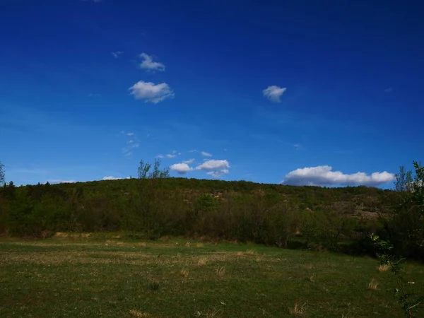 Gräsfält och kulle i fjärran under en blå himmel — Stockfoto