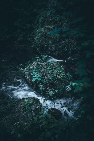 Beautiful scenery of huge rocks in the forest, covered with green plants and a river — 스톡 사진