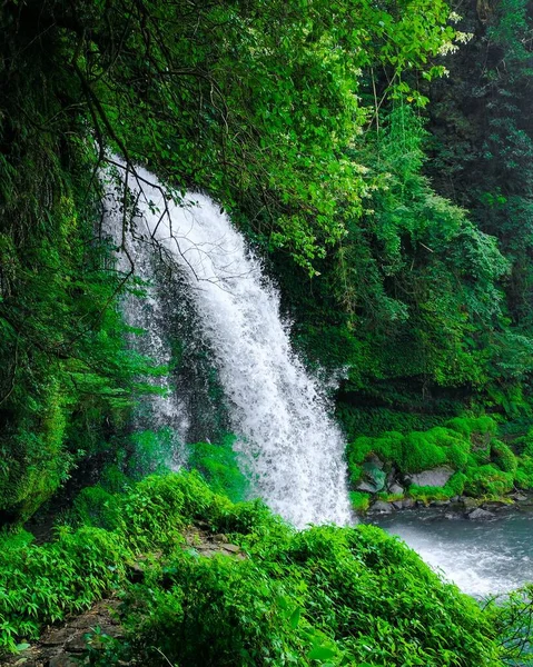Pionowe ujęcie pięknego wodospadu wpadającego do rzeki w zielonym lesie — Zdjęcie stockowe