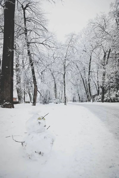 Bellissimo scenario di alberi spogli in una zona innevata vicino a un sentiero coperto di neve — Foto Stock