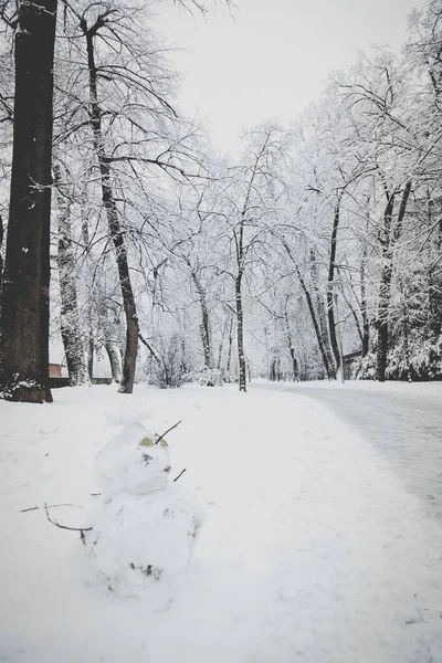 Hermoso paisaje de árboles desnudos en una zona nevada cerca de un sendero cubierto de nieve — Foto de Stock