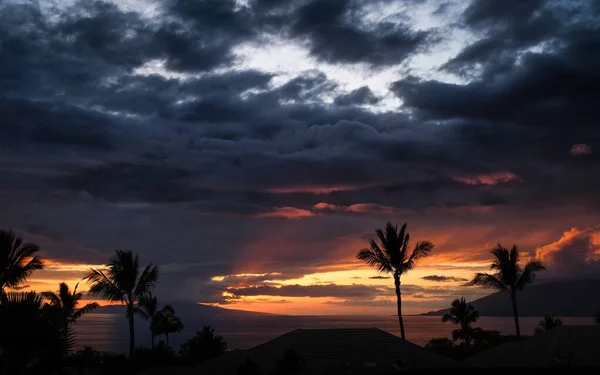 Landscape shot of silhouettes of palm trees during sunset under the cloudy sky