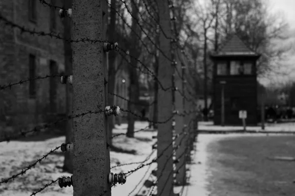 Auschwitz. — Foto de Stock