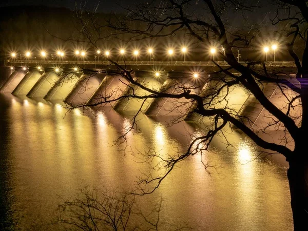 Silhouette of a leafless tree and a bridge with lit lights over the water in the background — Stock Photo, Image