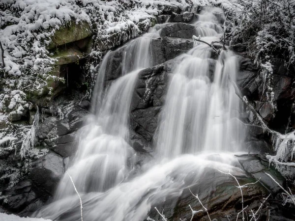 Belo tiro de uma parede de água cercada por plantas cobertas de neve — Fotografia de Stock