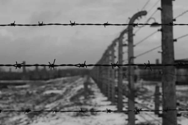 Birkenau — Zdjęcie stockowe