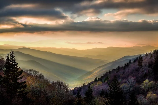スモーキー山脈の涼しい春の朝 山の色が薄暗く遠くの谷に浮かび上がる光の霧 — ストック写真