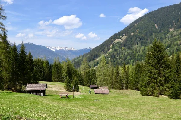 Tiro Horizontal Belas Montanhas Verdes Pequenas Casas Terra Com Abetos — Fotografia de Stock