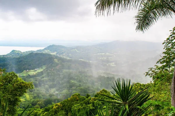 Paysages fantastiques des montagnes avec un accent sur les plantes vertes de la forêt — Photo