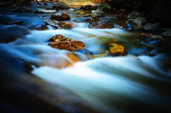 Пишний водоспад посеред лісу з високою цінністю кольорів — стокове фото
