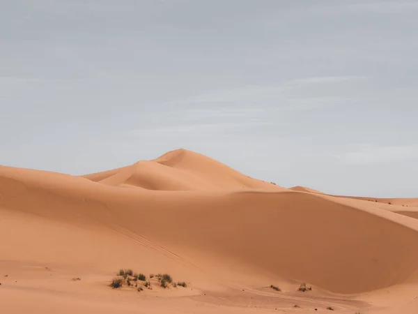 Belo tiro de dunas de areia com um céu nublado no fundo — Fotografia de Stock