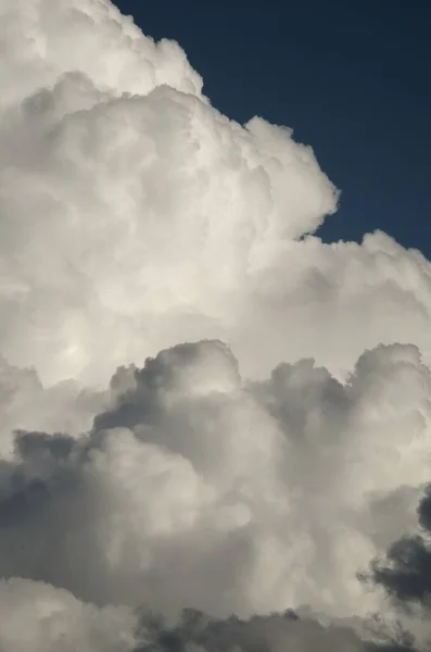 Tembakkan vertikal awan putih berkumpul di langit — Stok Foto