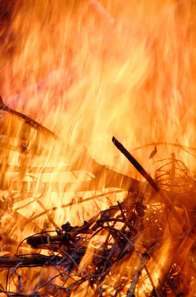 Vertical closeup of black dry wood burning in a campfire. Perfect for a wallpaper.