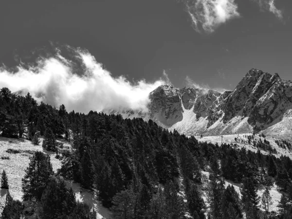 Schöne Aufnahme bewaldeter Berge in Schwarz-Weiß — Stockfoto