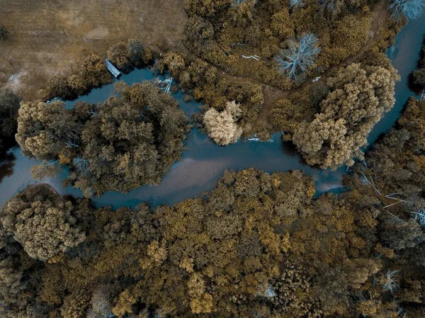 Zdjęcie z powietrza rzeki w środku brązowych drzew liściastych — Zdjęcie stockowe