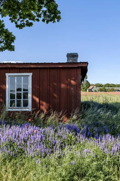Vertikale Aufnahme einer niedlichen roten Hütte im Feld schöner Blumen an einem sonnigen Tag — Stockfoto
