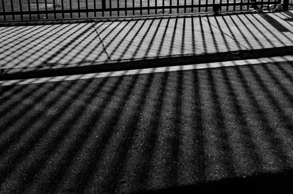 회색 칼레는 선들의 반사로 대칭적 인 패턴을 만들어 내는 지면의 사진을 찍었습니다. — 스톡 사진