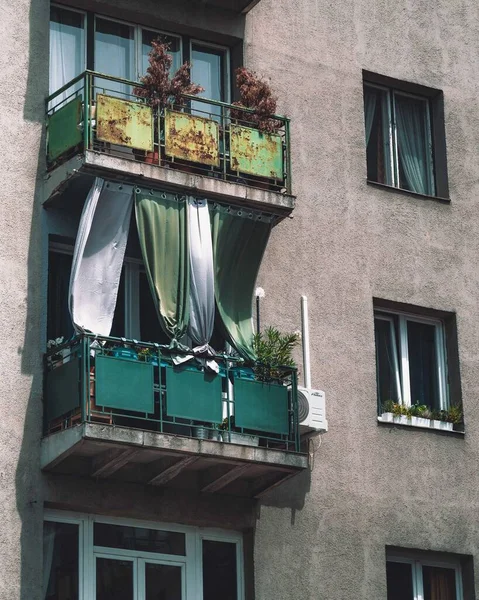 Balkóny s tekoucími závěsy a různými rostlinami na oknech — Stock fotografie