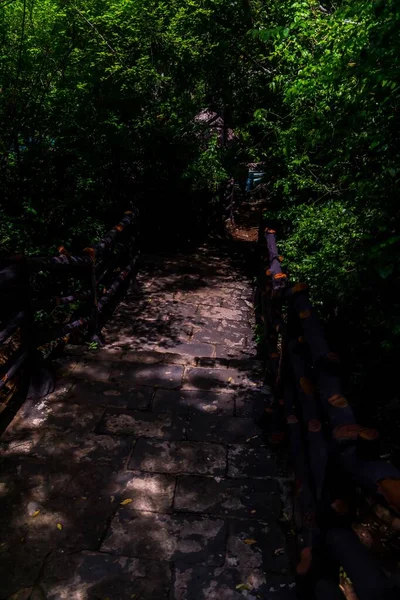 Hermosa toma vertical de un sendero en el bosque con barandillas de madera rodeadas de árboles verdes — Foto de Stock