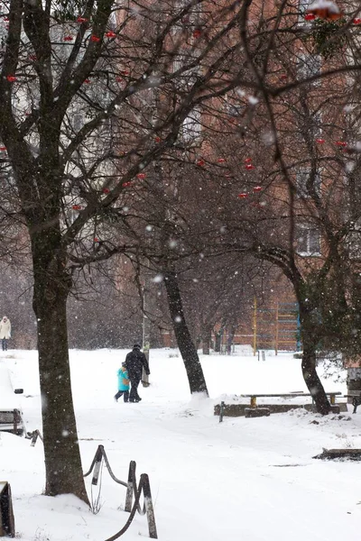 公園を歩く人と裸の木の枝に落ちる美しい雪片 — ストック写真
