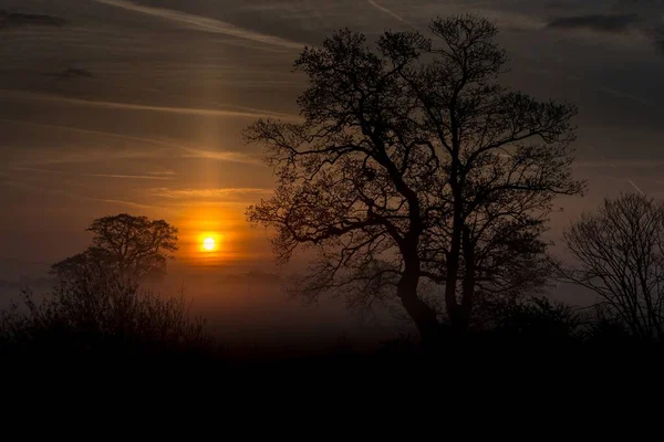 Ein Erstaunlicher Wald Und Der Sonnenuntergang — Stockfoto