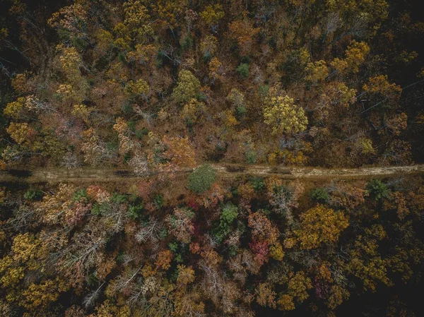 Een Antenne Opname Van Een Weg Het Midden Van Een — Stockfoto