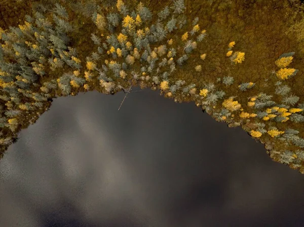 Légi felvétel a víz közelében a part borított sárga és zöld fák — Stock Fotó