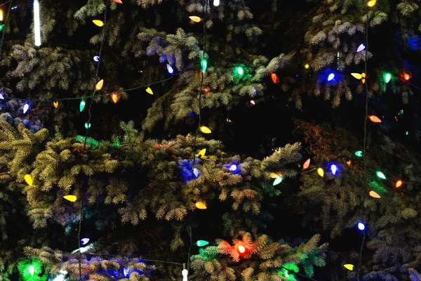 Festlig bild av en julgran insvept i färgglada ljus skapar den perfekta semester atmosfär — Stockfoto